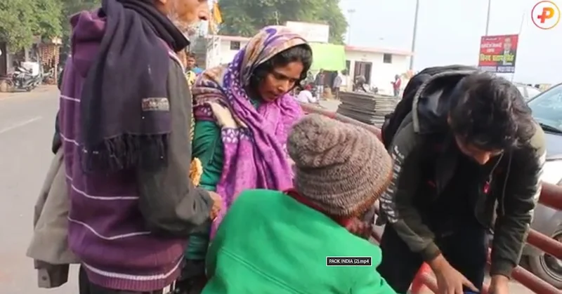 Person petting a dog at an animal shelter